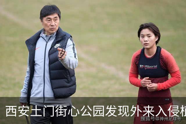 西安土门街心公园发现外来入侵植物，城管迅速行动清除